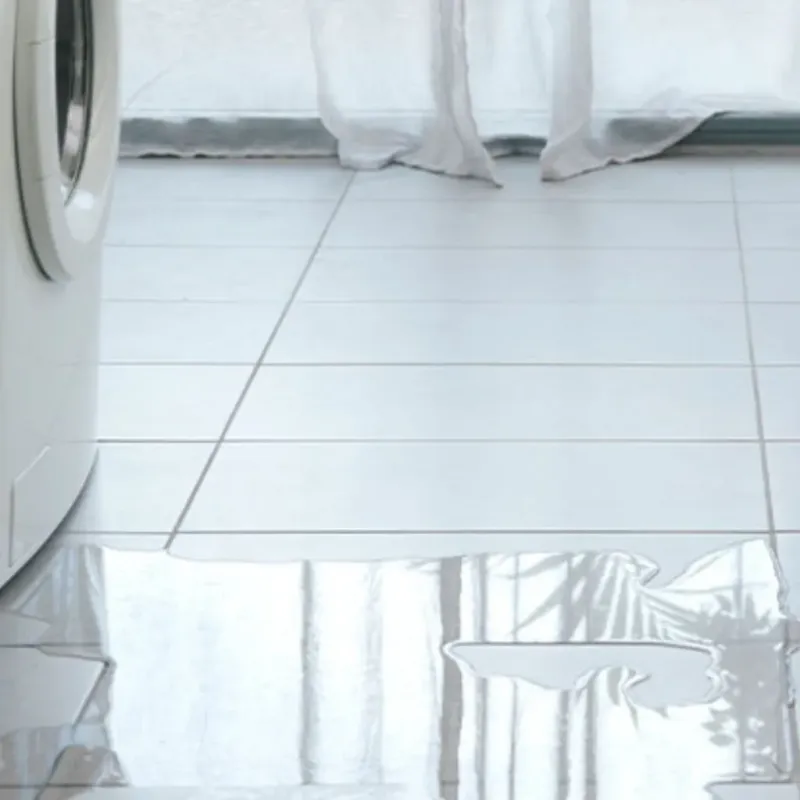 Appliance Leak Cleanup in Marquette Heights, IL