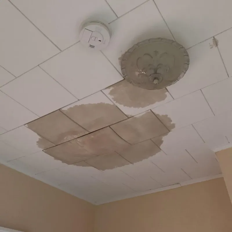 Ceiling Water Damage Repair in Marquette Heights, IL