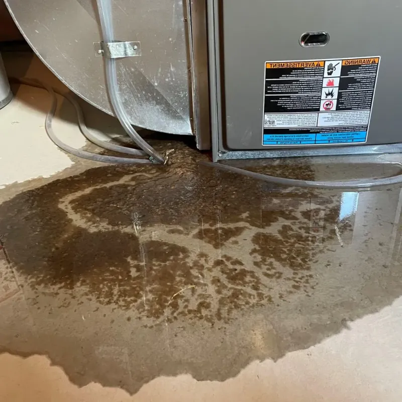 Pipe Burst and Leak Restoration in Marquette Heights, IL