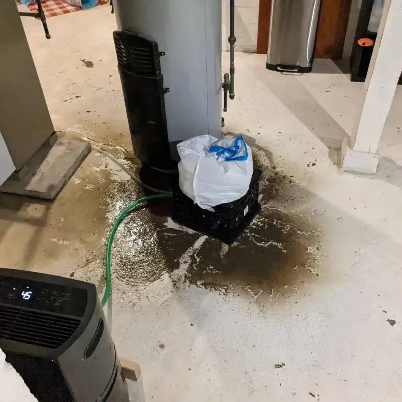 Sewage Backup Cleanup Service in Marquette Heights, IL